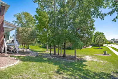 149 Lakeport Drive, Chapin, SC 29036 - Photo 51
