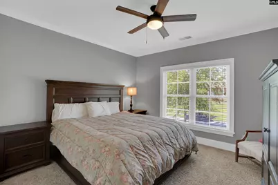 149 Lakeport Drive, Chapin, SC 29036 - Photo 41