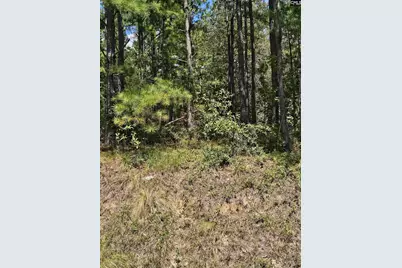 0 Sharpes Hill Road, Gaston, SC 29053 - Photo 3