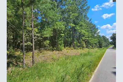 0 Sharpes Hill Road, Gaston, SC 29053 - Photo 1