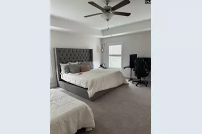 524 Triumph Road, Chapin, SC 29036 - Photo 25