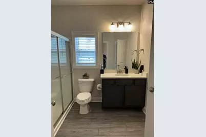 524 Triumph Road, Chapin, SC 29036 - Photo 23