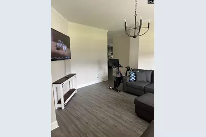 524 Triumph Road, Chapin, SC 29036 - Photo 37