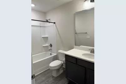 524 Triumph Road, Chapin, SC 29036 - Photo 33