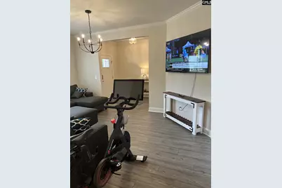 524 Triumph Road, Chapin, SC 29036 - Photo 9