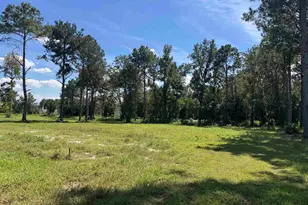 7527 Old Number Six Hwy, Santee, SC 29142 - Photo 29