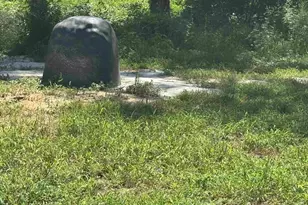 7527 Old Number Six Hwy, Santee, SC 29142 - Photo 7