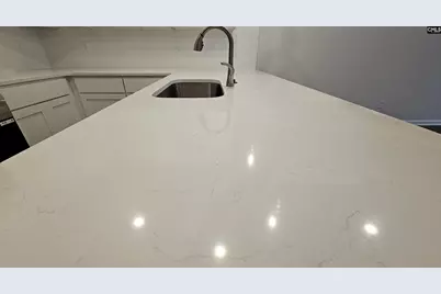 265 Sunny Hill Drive, Blythewood, SC 29016 - Photo 17