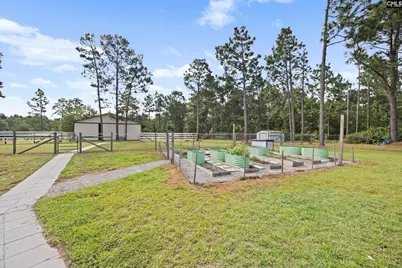 1835 Neely Wingard Road, Gilbert, SC 29054 - Photo 49