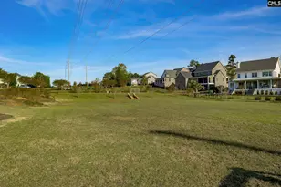 224 Waterstone Dr, Lexington, SC 29072 - Photo 65