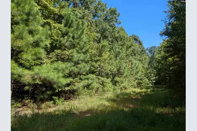 0 Taylor Road, Batesburg, SC 29006 - Photo 19