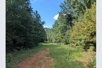 0 Taylor Road, Batesburg, SC 29006 - Photo 21