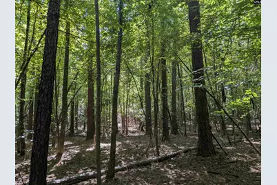 0 Taylor Road, Batesburg, SC 29006 - Photo 15