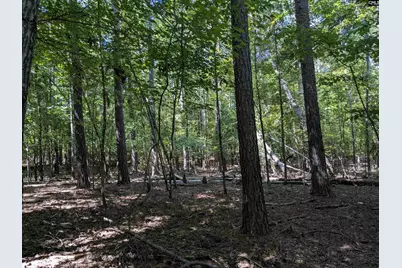 0 Taylor Road, Batesburg, SC 29006 - Photo 13