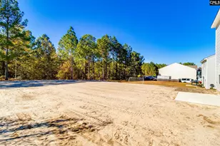 436 Peak Copper Ct, Lexington, SC 29073 - Photo 35