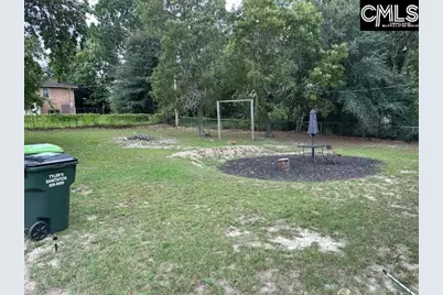 2020 Sandy Run Drive, Gaston, SC 29053 - Photo 3