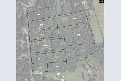 Tbd Dog Leg Road #9, Leesville, SC 29070 - Photo 1