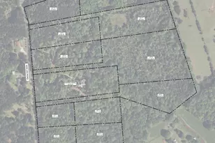 Tbd Dog Leg Rd, Leesville, SC 29070 - Photo 1