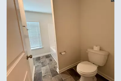 146 Switch Grass Drive, Leesville, SC 29070 - Photo 17