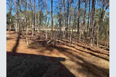 218 Quiet Side Court, Blythewood, SC 29016 - Photo 5