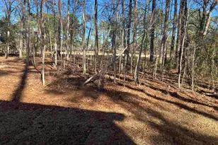 218 Quiet Side Ct, Blythewood, SC 29016 - Photo 5