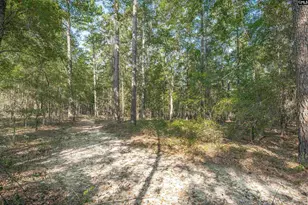 1467 Springvale Rd, Lugoff, SC 29078 - Photo 59