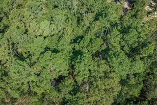 1467 Springvale Rd, Lugoff, SC 29078 - Photo 49