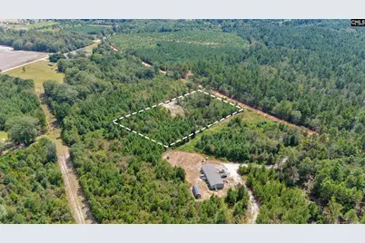 Bachman Dykes Road, Swansea, SC 29160 - Photo 7