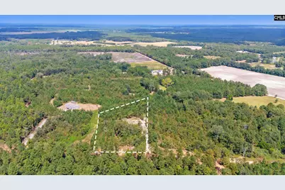 Bachman Dykes Road, Swansea, SC 29160 - Photo 3