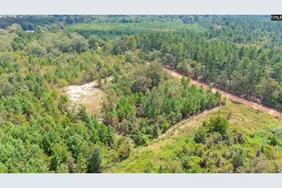Bachman Dykes Road, Swansea, SC 29160 - Photo 11