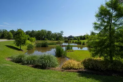 1115 Portrait Hill Drive, Chapin, SC 29036 - Photo 19