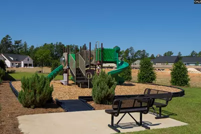 1115 Portrait Hill Drive, Chapin, SC 29036 - Photo 21