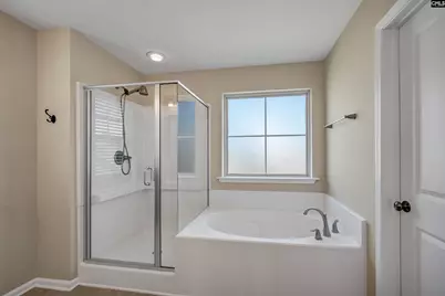 1115 Portrait Hill Drive, Chapin, SC 29036 - Photo 11