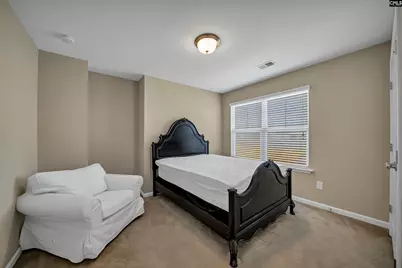 1115 Portrait Hill Drive, Chapin, SC 29036 - Photo 13
