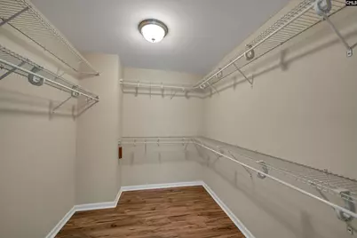 1115 Portrait Hill Drive, Chapin, SC 29036 - Photo 9