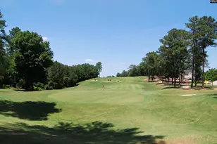 1409 Red Sunset Ln, Blythewood, SC 29016 - Photo 47