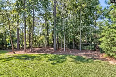 104 Keepers Court, Chapin, SC 29036 - Photo 39