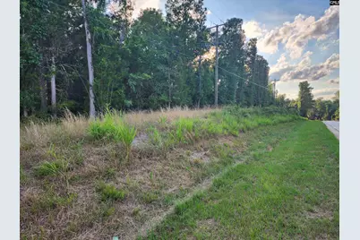 13294 State Hyw 215 South Highway S #Track B, Jenkinsville, SC 29065 - Photo 5