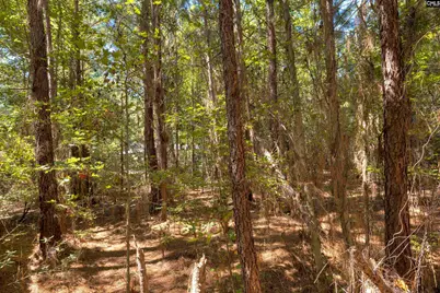 330 Pinecrest Drive, Sumter, SC 29153 - Photo 27