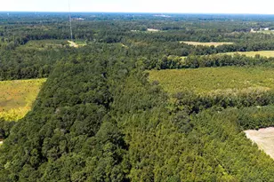 330 Pinecrest Dr, Sumter, SC 29153 - Photo 9