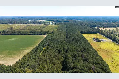 330 Pinecrest Drive, Sumter, SC 29153 - Photo 17