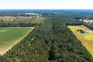 330 Pinecrest Dr, Sumter, SC 29153 - Photo 17