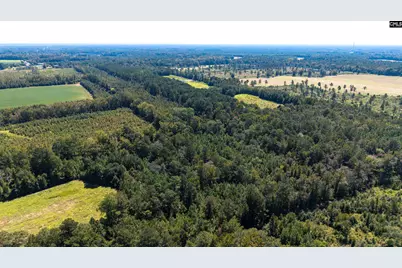 330 Pinecrest Drive, Sumter, SC 29153 - Photo 13