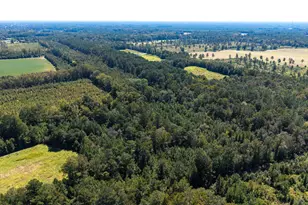 330 Pinecrest Dr, Sumter, SC 29153 - Photo 13