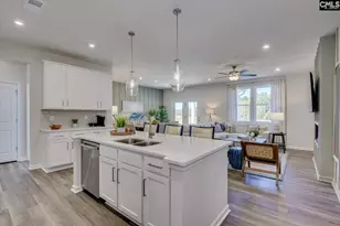 342 Chapin Pl Wy, Chapin, SC 29036 - Photo 11