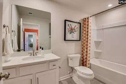 342 Chapin Place Way, Chapin, SC 29036 - Photo 55