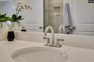 342 Chapin Pl Wy, Chapin, SC 29036 - Photo 39