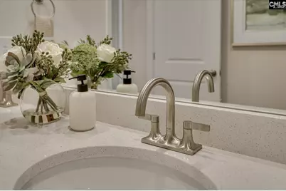 342 Chapin Place Way, Chapin, SC 29036 - Photo 51