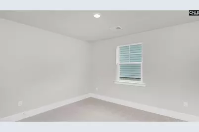 286 Livingston Woods Drive, Irmo, SC 29063 - Photo 19