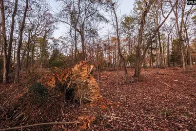 Green Meadow Drive #10, Chapin, SC 29036 - Photo 17